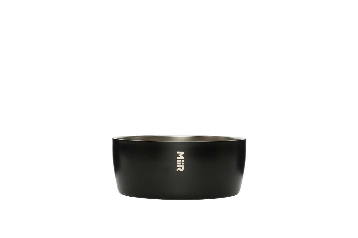 Dog Bowl