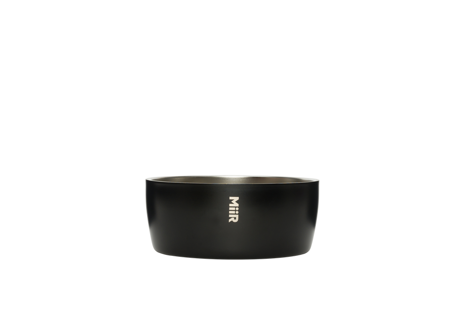 Dog Bowl